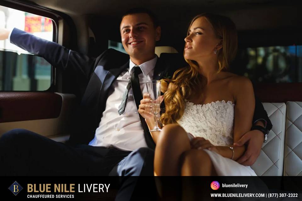 Blue Nile Livery