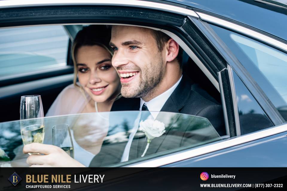 Blue Nile Livery