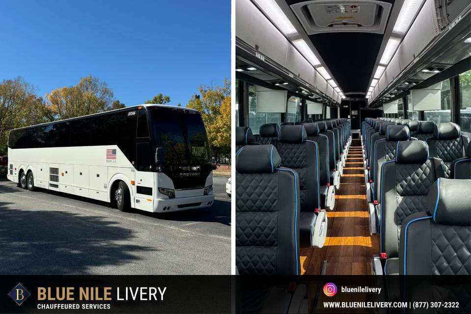 Blue Nile Livery