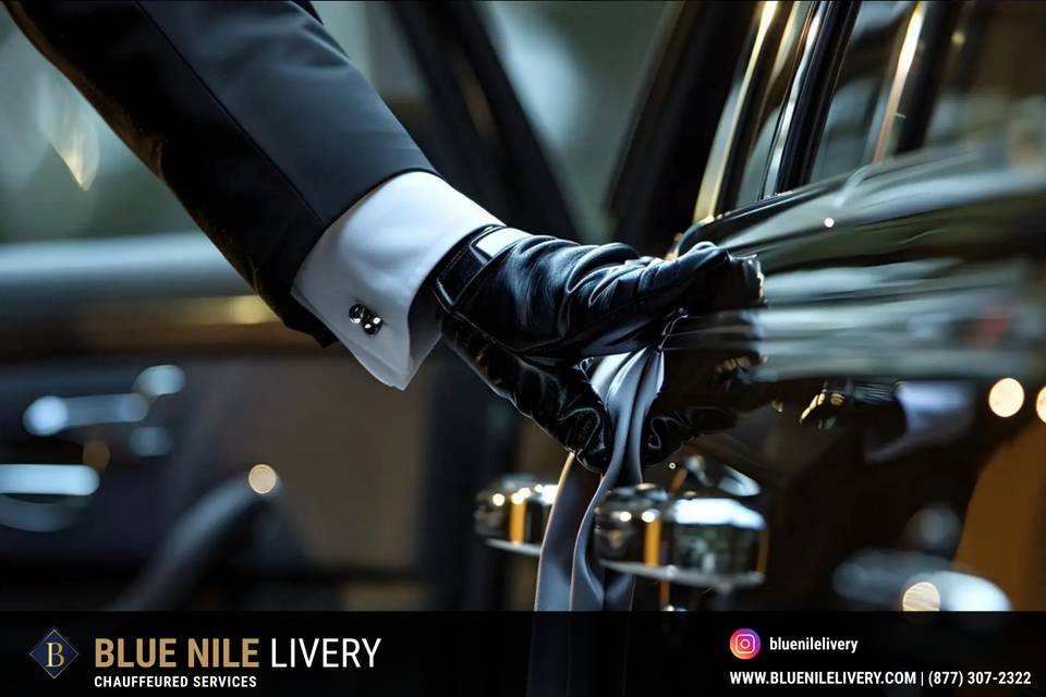 Blue Nile Livery