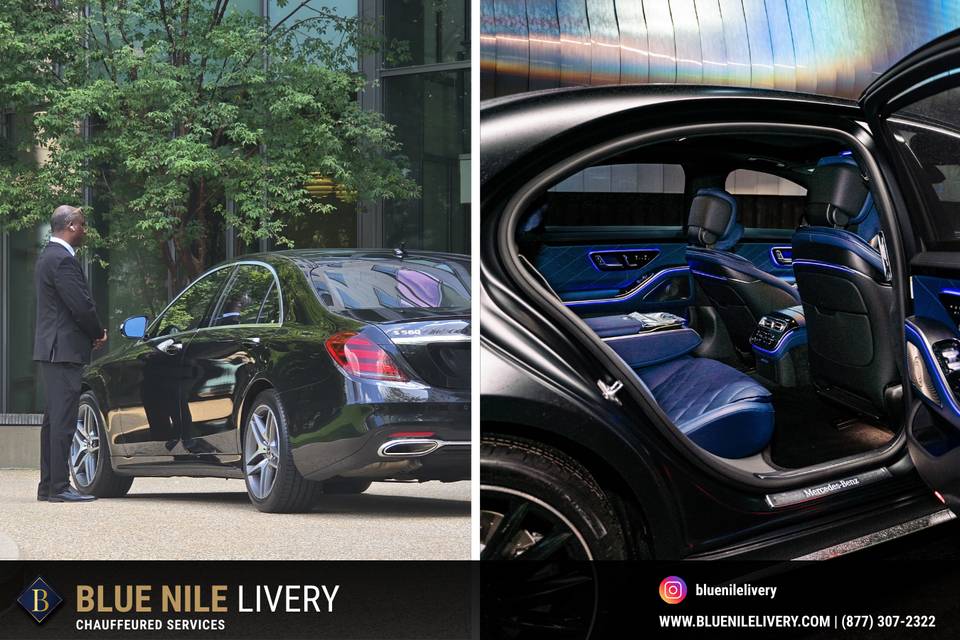 Blue Nile Livery