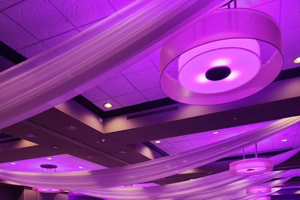Reception with ceiling draping