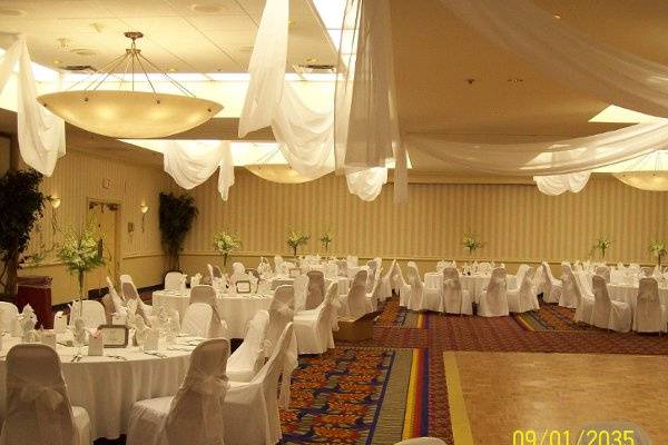 Wedding Reception