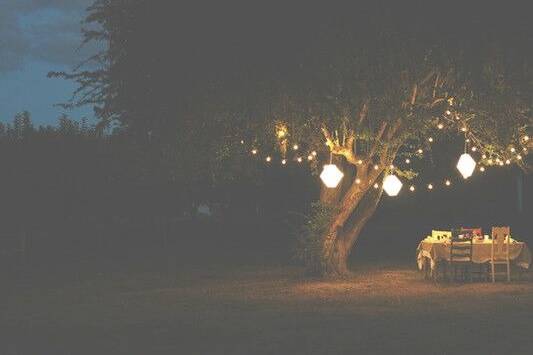 Tree string lights