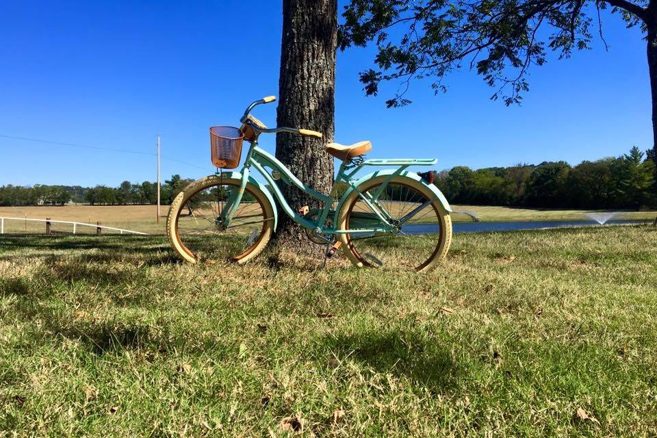 Battle Mountain Farm