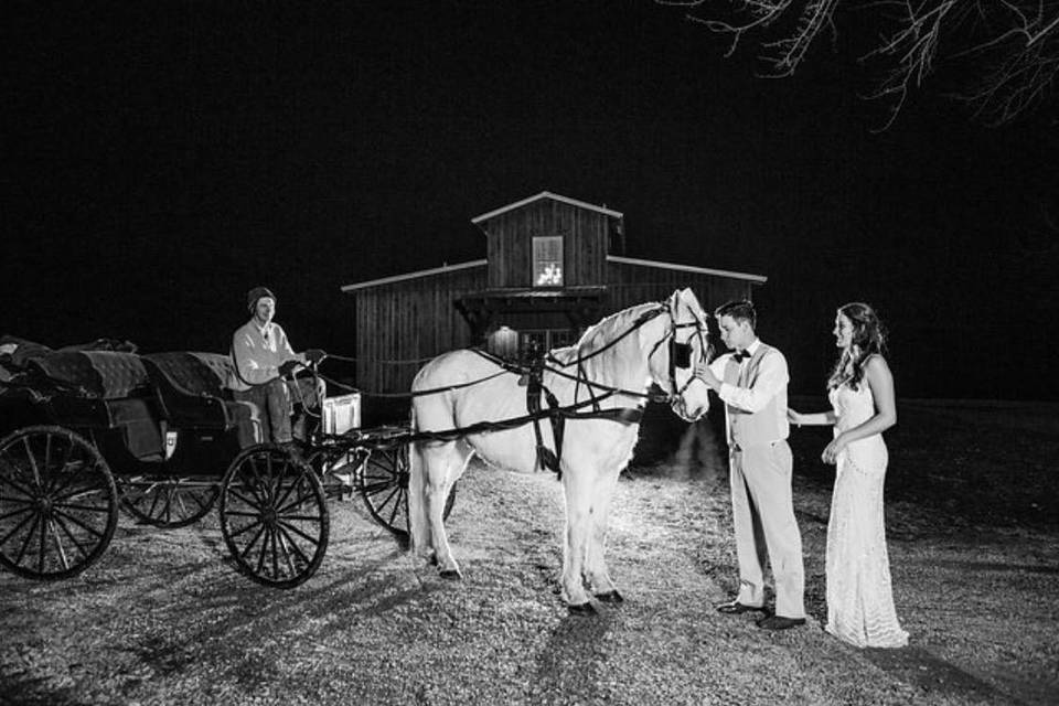 Newlyweds with the horse