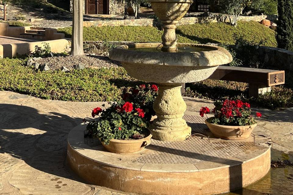 Stone Chapel Vineyards
