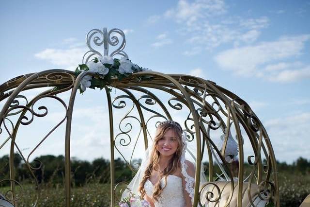 Bridal portrait