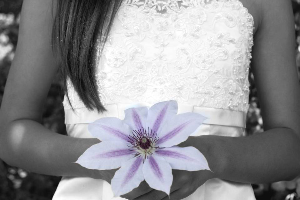 Blue Duck Photography