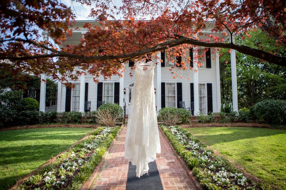 Wedding gown in tree