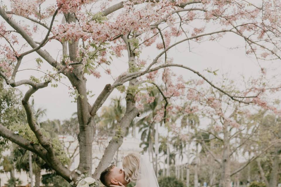 Under the tree