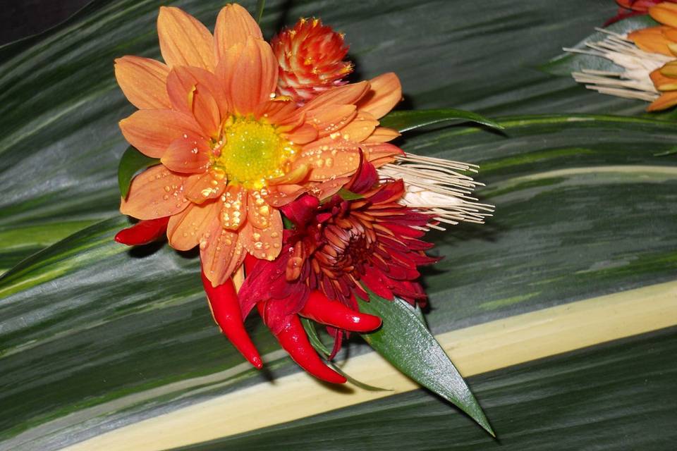 Boutonniere with chili peppers, mums, daisies and gomphrena.