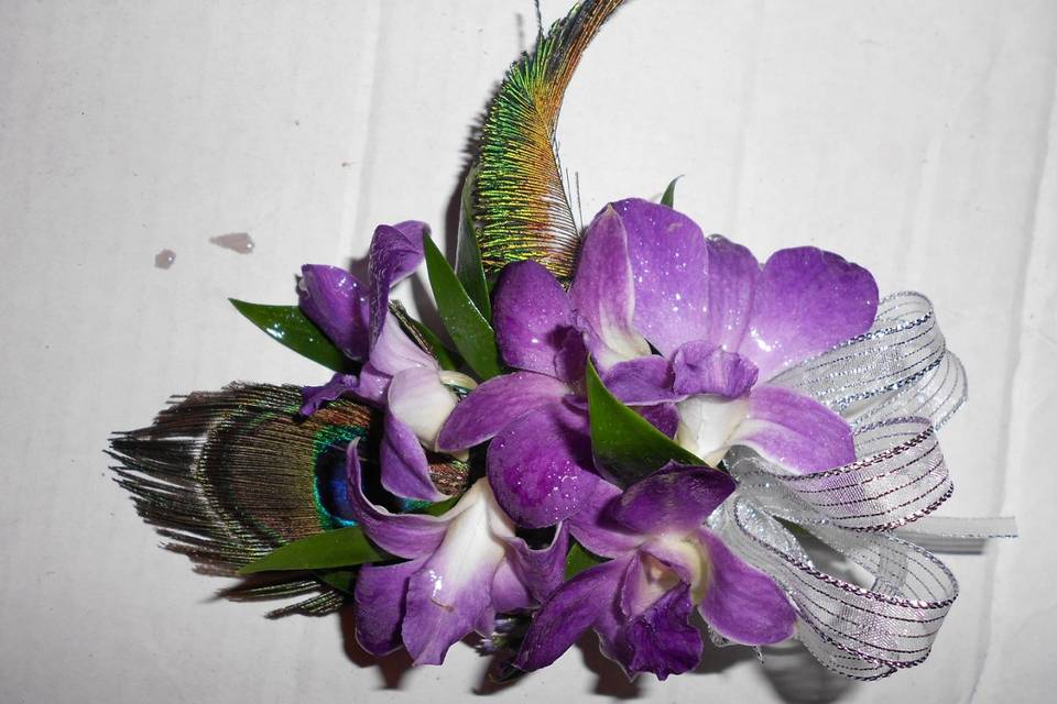 Wrist corsage with dendrobium orchids and peacock feathers
