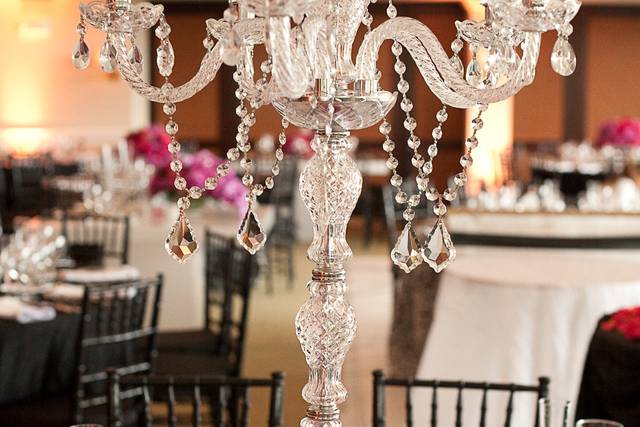 Carolyn Dempsey Design