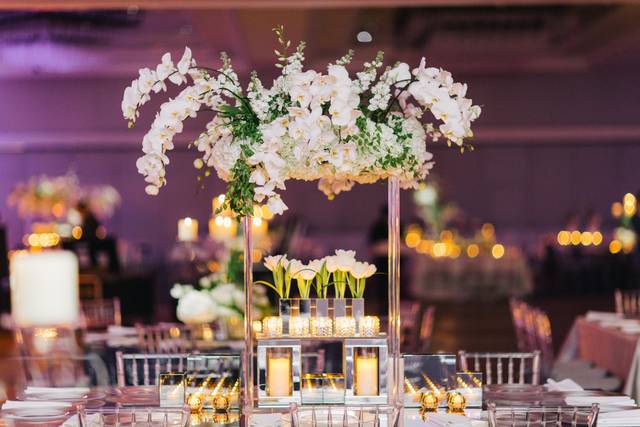 Carolyn Dempsey Design