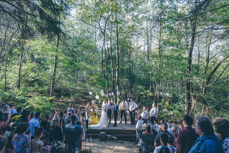 Hocking Hills Scenic Weddings