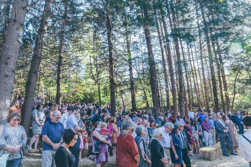 Wedding guests in the woodland