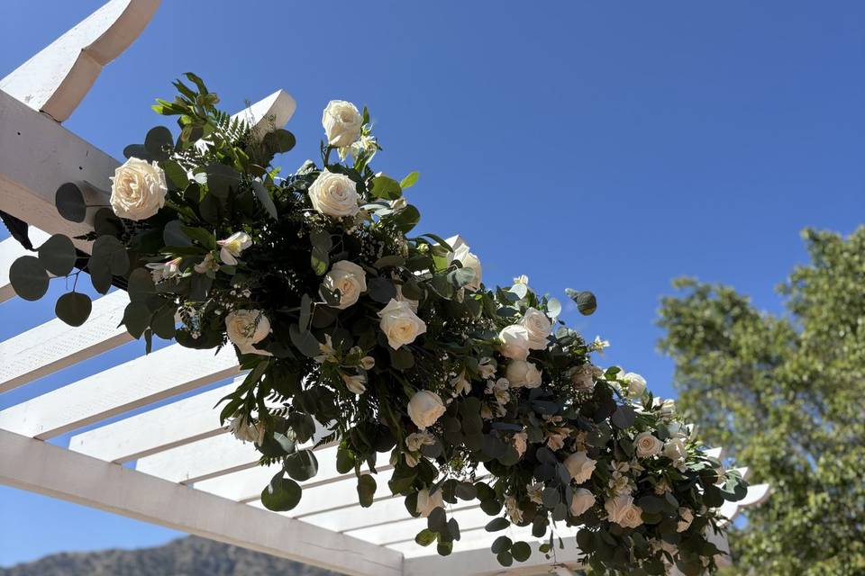 White roses