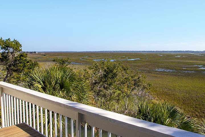 Views of the Marsh