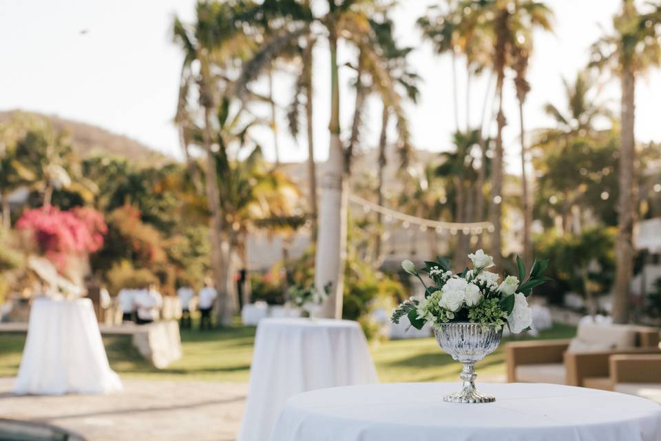 Under the palms