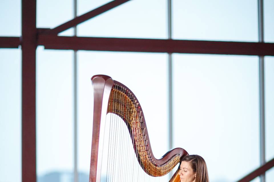 Classical harp