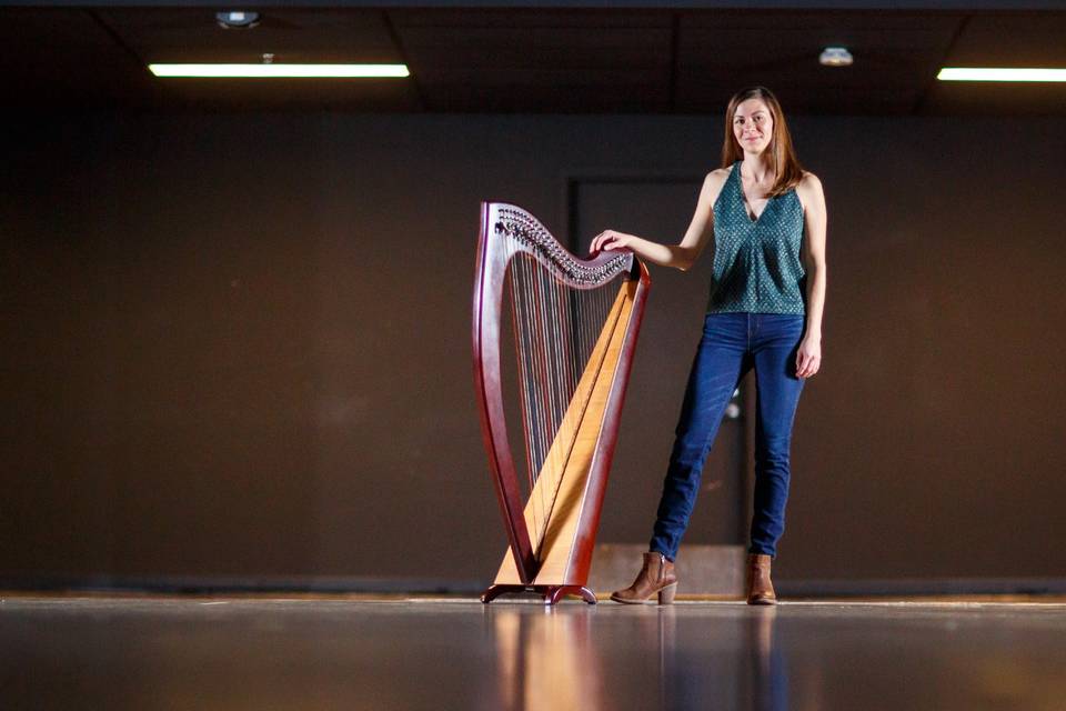 Irish harpist