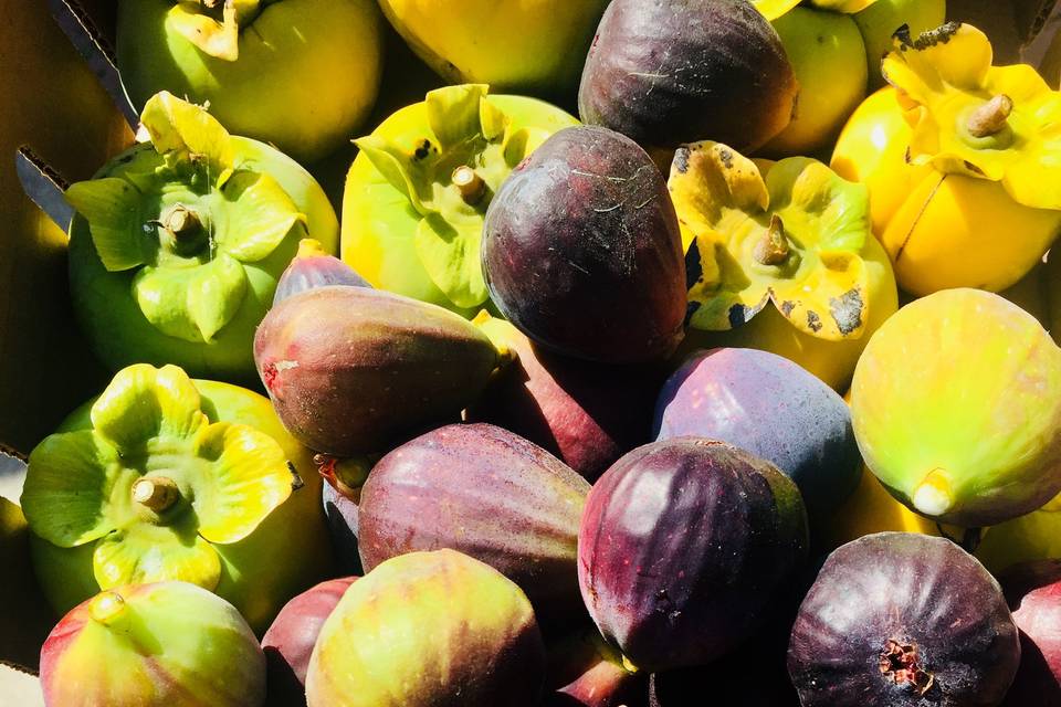 Figs/ seasonal