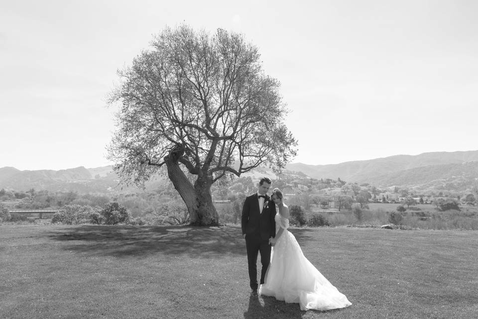 Sunstone Winery Wedding