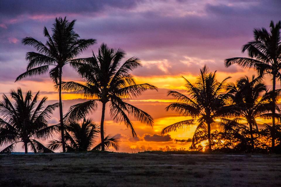 Sunset Chasers Travel Agency