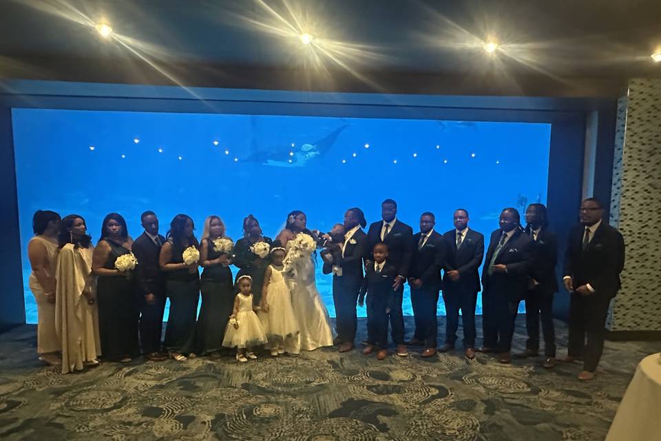 Aquarium Opulent Oath wedding