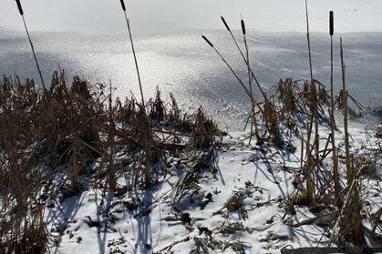 Winter Beach