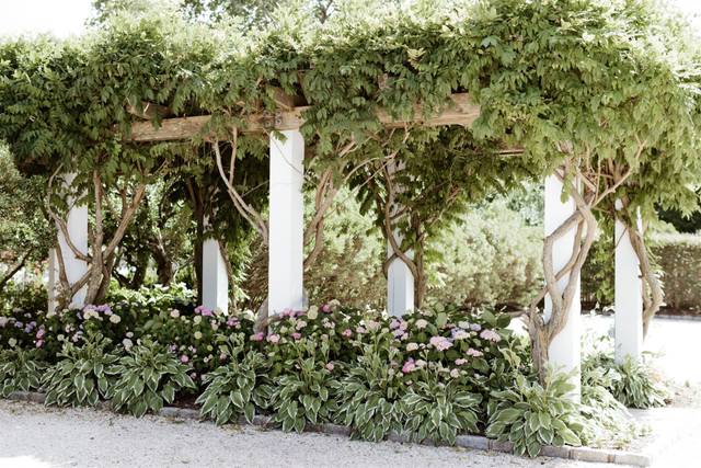 Lauren Zizza Events