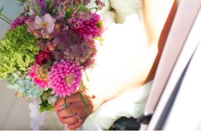 Alison Wedd Photography