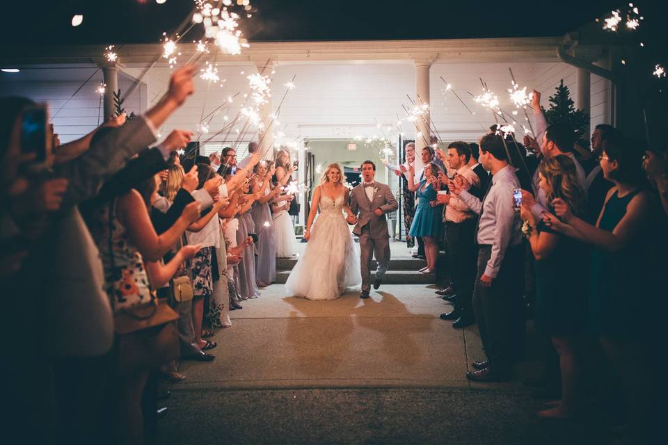 The couple with the bridesmaids and groomsmen