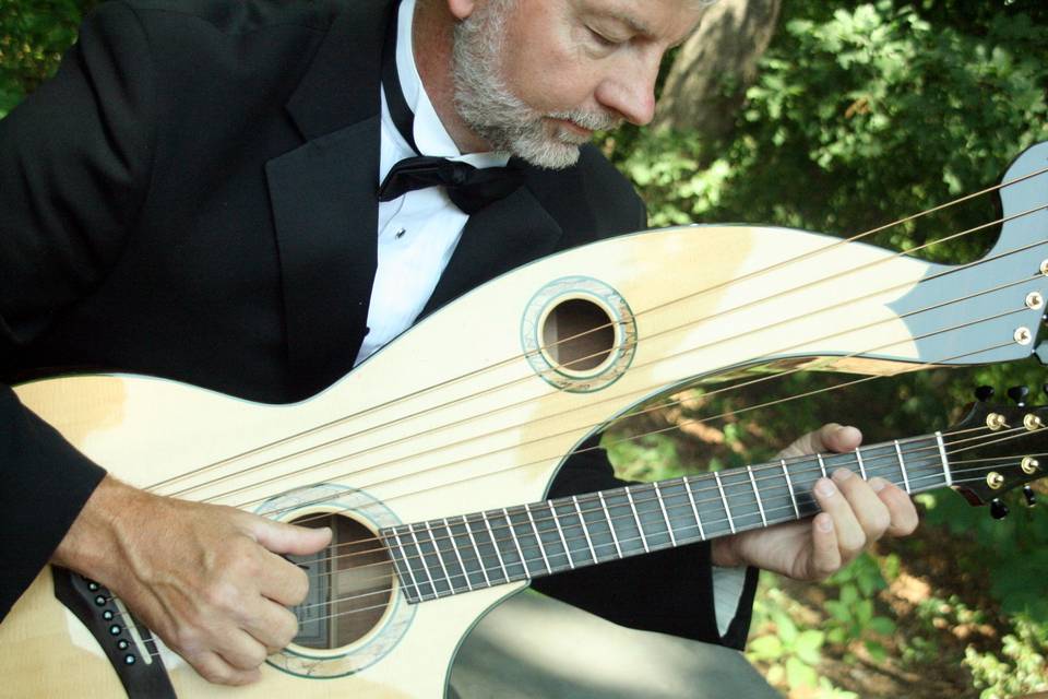 Harpist performing