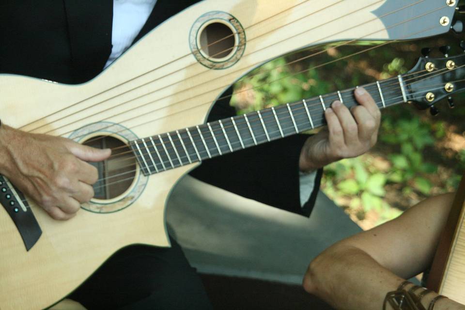 Guitarist performing