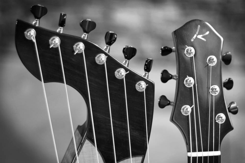 Black and white guitar