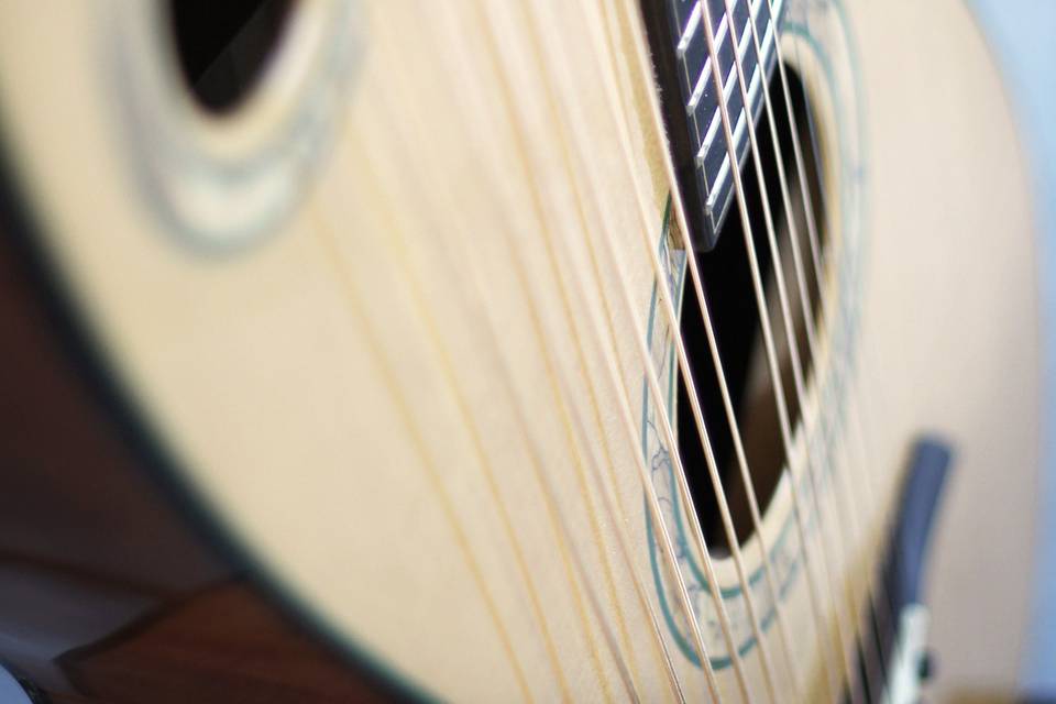 Guitar closeup