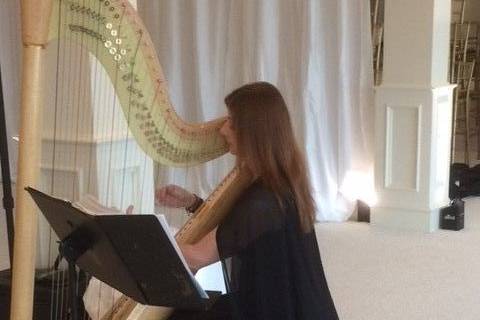 Harpist performing