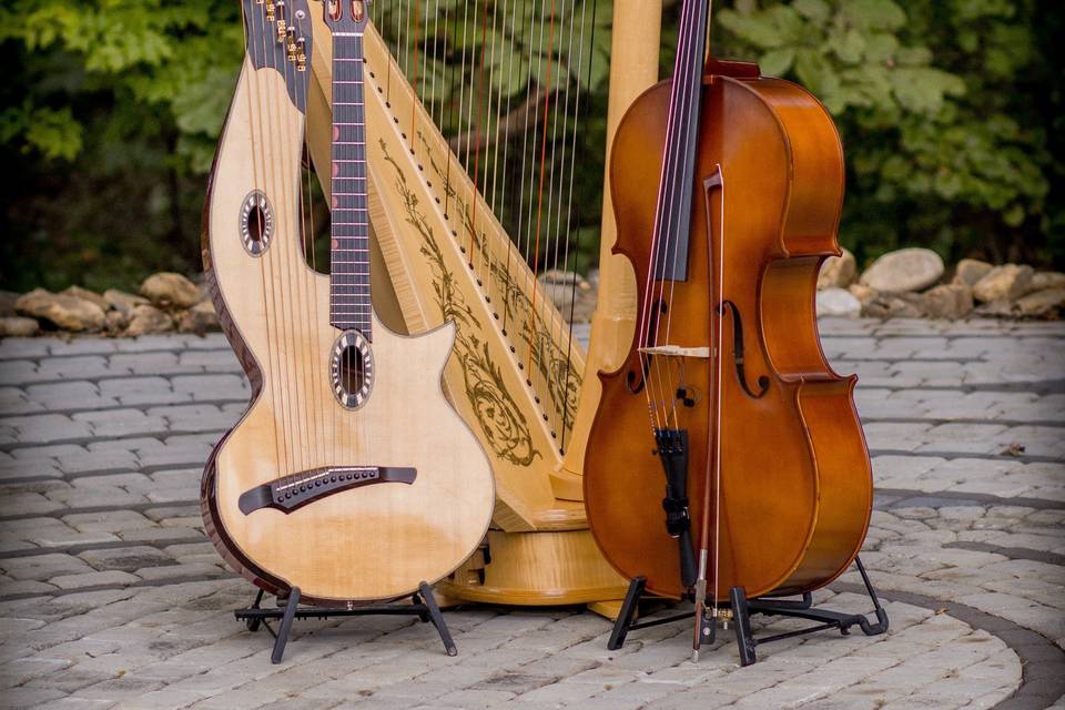 Strings and harp