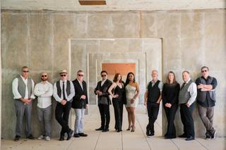 The Vinyl Junkies Band
