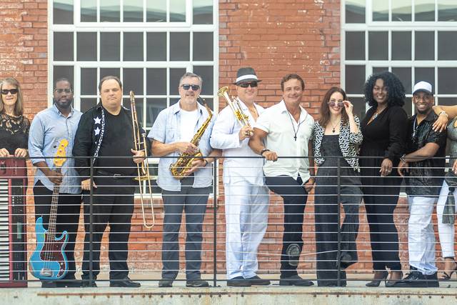 The Vinyl Junkies Band