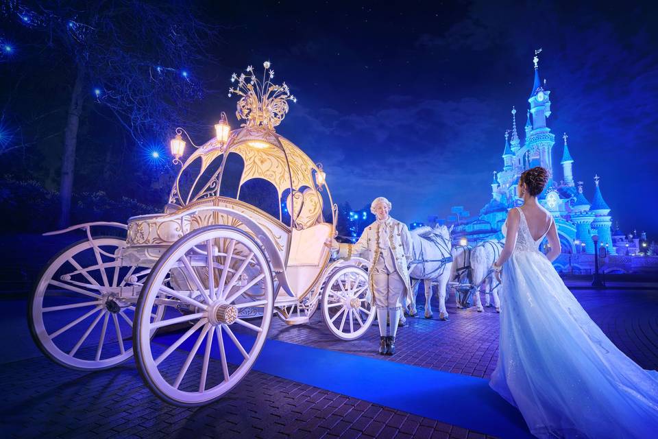 Disney Dream Wedding