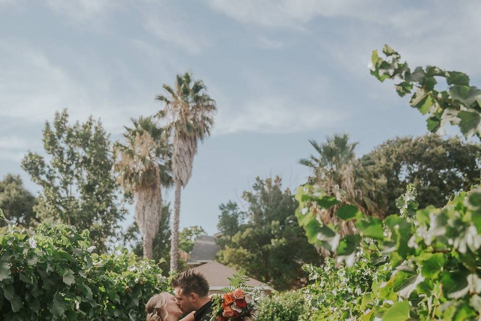 Bride + Groom