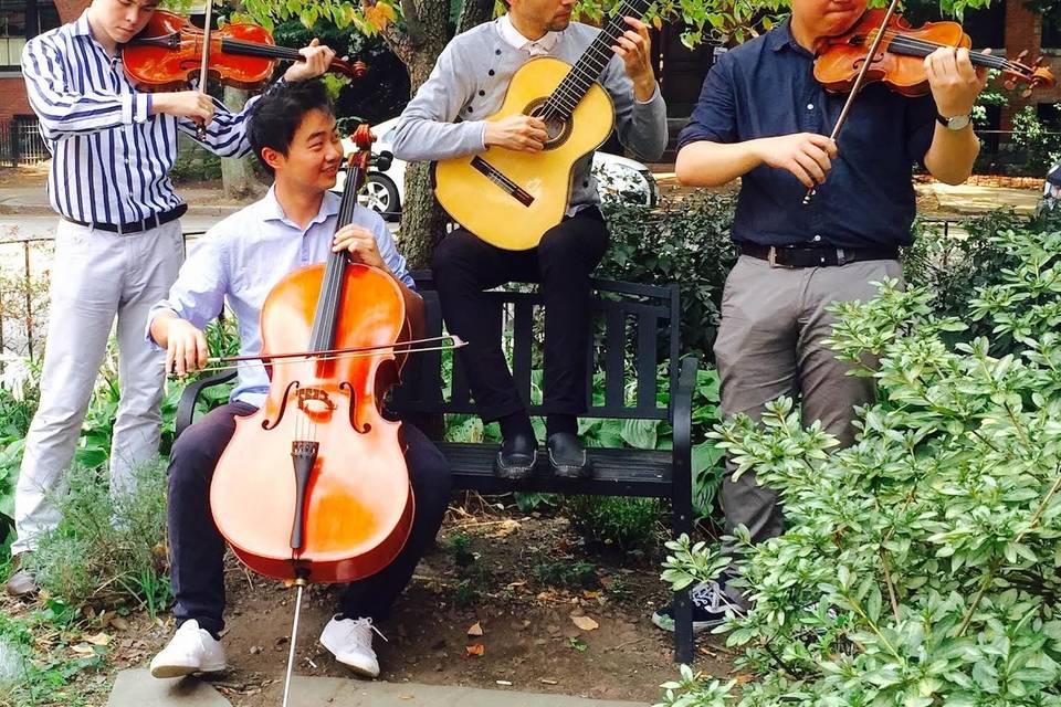 Performing with my string quartet at a wedding in Cape Cod.