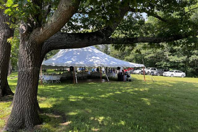 Side yard wedding