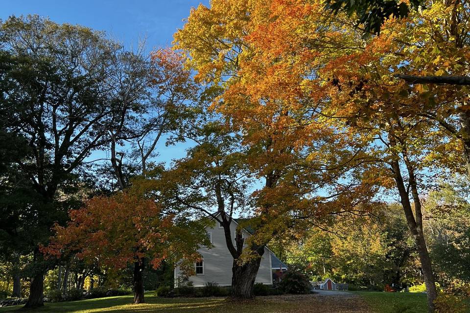 Fall in Round Pond