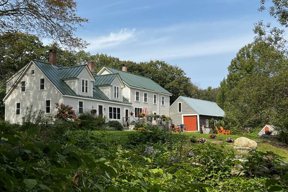 View of the backyard