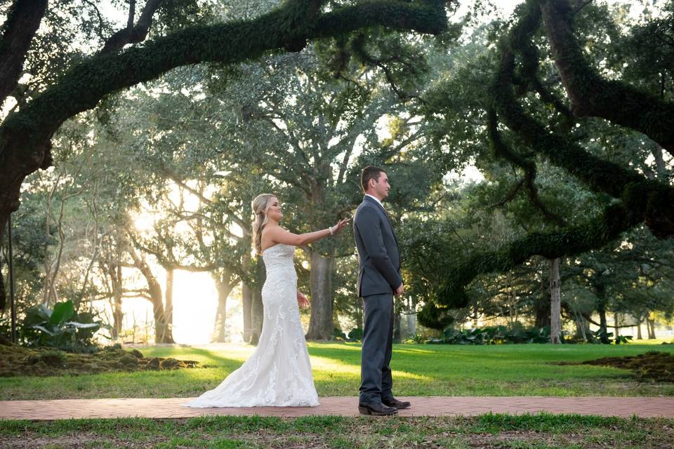 Oak Alley Plantation