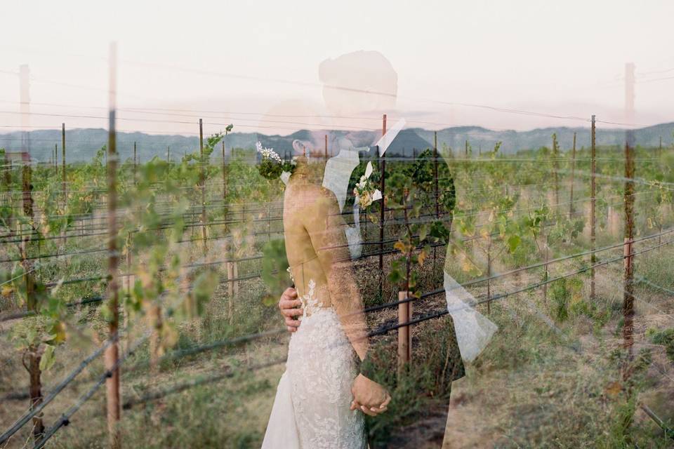 Sonoma Napa Wedding